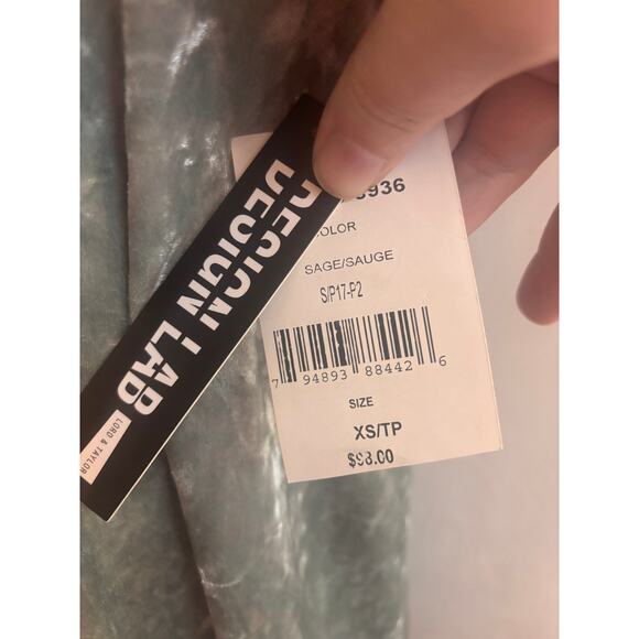 NWT Design Lab Lord & Taylor XS Sage Green Crushed Velvet Slip Dress Lined - Picture 9 of 10